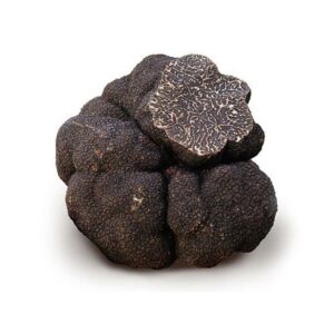 Tartufo Nero Pregiato